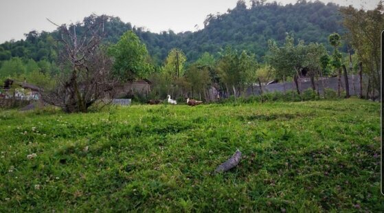 خانه ویلایی یک خوابه در روستای سیاهمرد