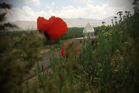 ویلا دو خواب دوزان در الیگودرز