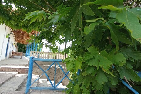 واحد 12 متری در اقامتگاه بوم گردی در کلات