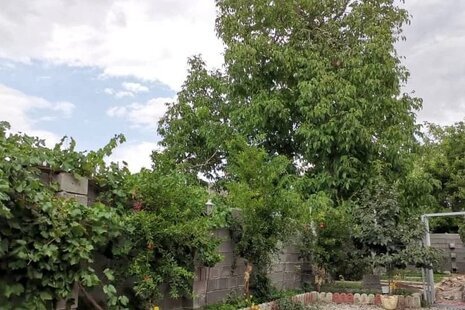 سوئیت ایلیا کوچک طبقه اول در دنا