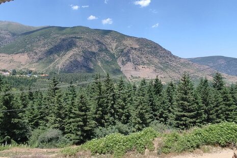 ویلا تکخواب رز در مجتمع اقامتی بام جواهرده در جواهرده