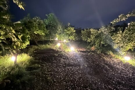 کلبه سوئیسی دوبلکس دوخواب در سوادکوه