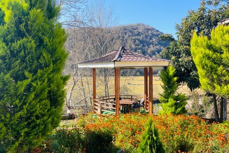 ویلا تکخواب شالیزار در سوادکوه