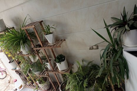 آپارتمان مبله تکخواب باغ پرتقال در نجف آباد