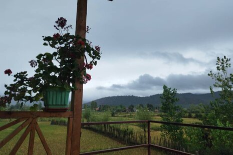 کلبه چوبی سبز صادق در ماسال