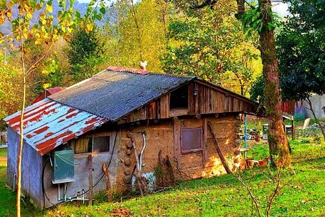 کلبه جنگلی  تکخواب مجنون در فومن