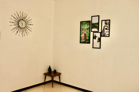 آپارتمان مبله تکخواب شانا 13 در شهرک نفت