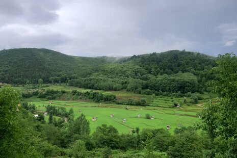 آپارتمان جنگلی استخردار دوخواب خودمونی 2 در زیرآب