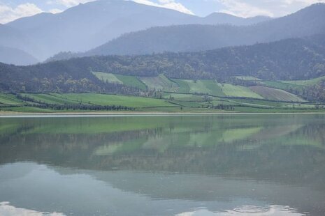 آپارتمان مبله تکخواب امیر 2 در گرگان