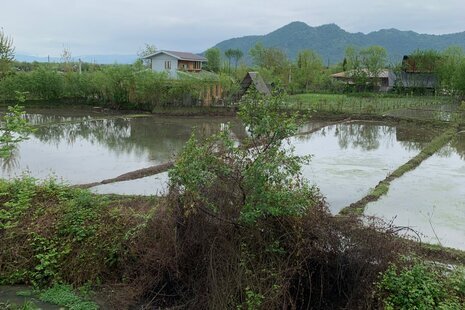 واحد مبله تکخواب مهتا طبقه همکف ویلا در ماسال
