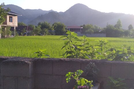 واحد دوخواب مبله در طبقه همکف ویلا در ماسال