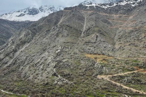 آپارتمان مبله تکخواب دیوەخان در سروآباد