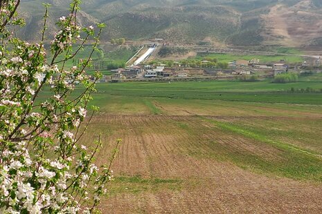 آپارتمن مبله تک خواب سیحان در کوهرنگ