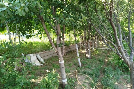 سوئیت حور در اردبیل