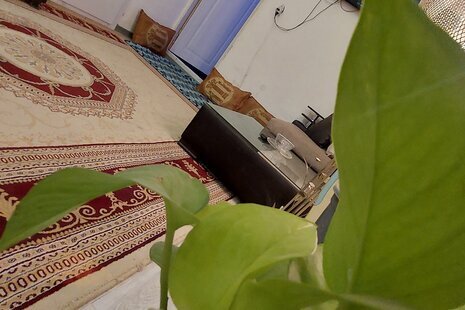آپارتمان مبله تکخواب شقایق در مشهد