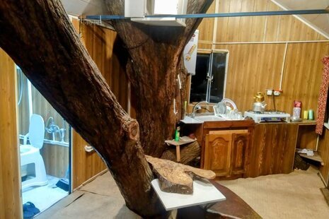 کلبه درختی 20 متری در نور