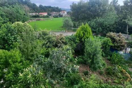 واحد تکخواب طبقه اول ویلا قوی سپید در رودسر