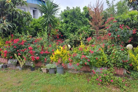 خانه ویلایی دو خواب مبله در نور