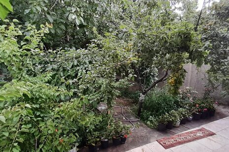 ویلا مبله دوخواب نور در سلطانیه زنجان