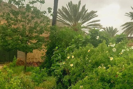 اتاق پس تو در بومگردی در جهرم