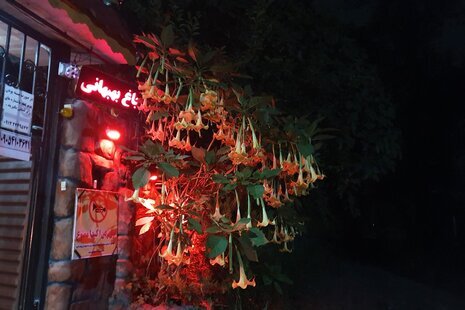 ویلا ارکیده در مجتمع اقامتی رشت