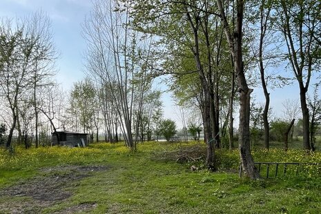 ویلا مبله تکخواب وطن در شفت