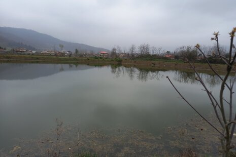 ویلا دوخواب امیرسام در ماسال