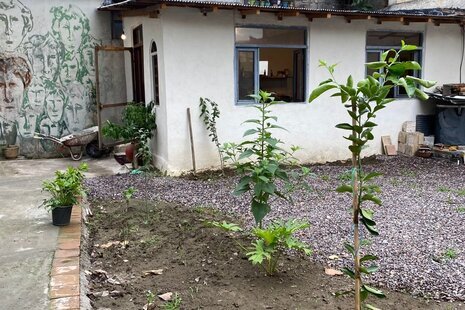 سوئیت ویلا جورا در رشت