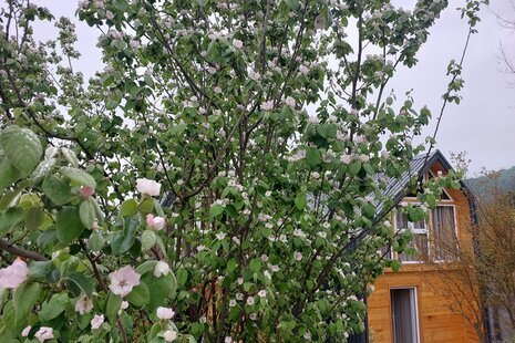 کلبه دوبلکس استخردار لمپا 2 در شیرگاه