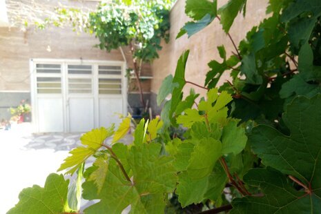 سوئیت ییلاق در شهر صدرا