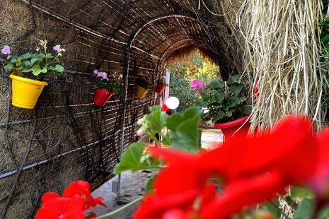 سوئیت ویلا دو نفره در رامسر