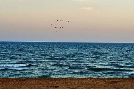 اتاق لور در اقامتگاه بومگردی در قشم