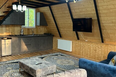 کلبه سوئیسی تکخواب ارشام 1 در بندرانزلی