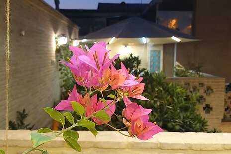 اتاق یادمانه قصرالدشتی در بوم گردی شیراز