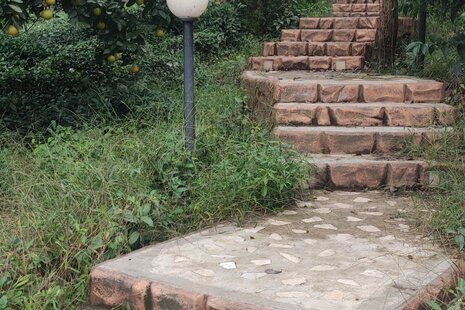 کلبه باغ چایی 2 ویلا در رحیم آباد