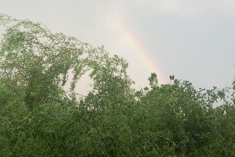 واحد دوخواب در طبقه دوم ویلا هفت آبشار در بابل