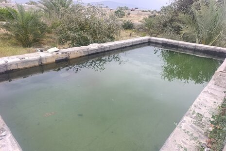 ویلا باغ دوخواب مهرسانا در دشتستان بوشهر