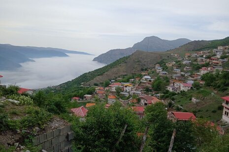 واحد مبله تک خواب جنگلی در سوادکوه