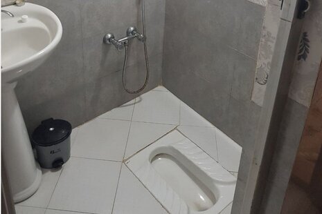 باغ ویلای الیزه در رشت