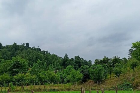 ویلای تکخواب باغ آسمان در بابل