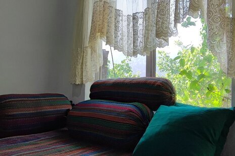 سوئیت جنگلی در لاویج