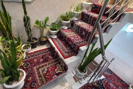 سوئیت 30متری در بوشهر