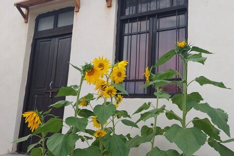 اتاق یاس در اقامتگاه بومگردی دشتی بوشهر