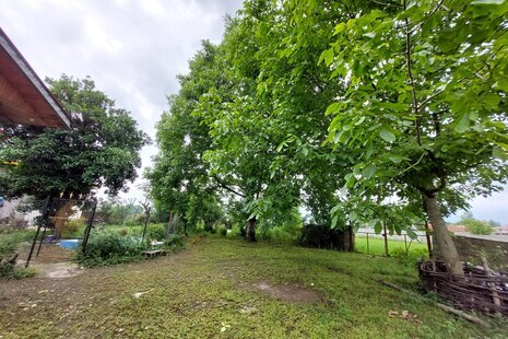 ویلا تکخواب سنتی اکبری در ماسال