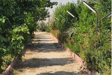 خانه ویلایی دو خواب استخردار در کازرون