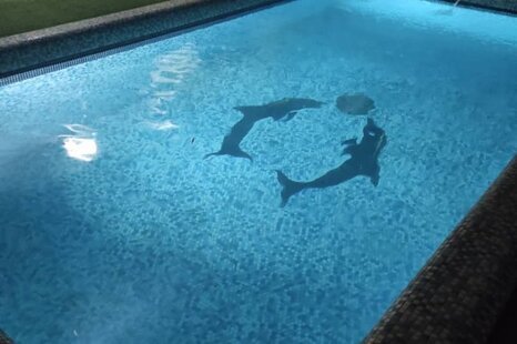 خانه ویلایی تکخواب استخردار آبگرم در کردان