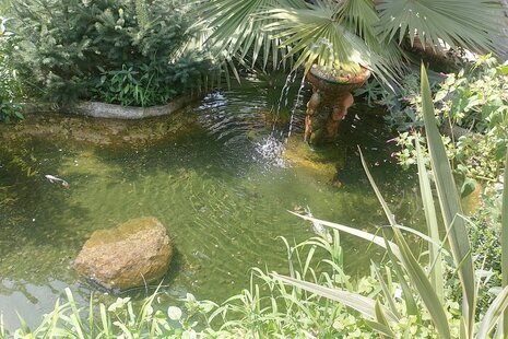 اتاق 4 در اقامتگاه بومگردی گیلان