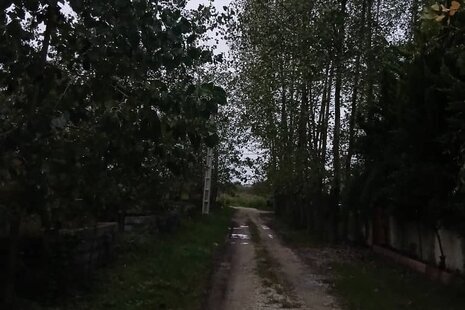 سوئیت جنگلی دنج در متل قو