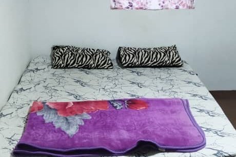 ویلا جنگلی دو خواب شمشاد در اربه کله