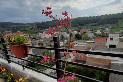 واحد تکخواب تراس دار در طبقه سوم ویلا گرگان